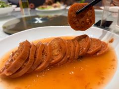 -丁老爷子苏香圆