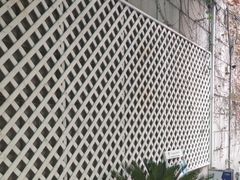 -上海仁爱医院