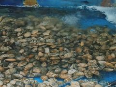 -鑫渔港海鲜本地菜·山海关浑锅(东戴河店)