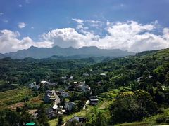 -梦幻奥陶纪景区