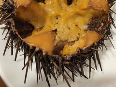 -海胆小馆(东北水饺·春柳店)