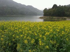 景点-广州市石门国家森林公园