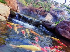 -罗红摄影艺术馆