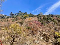 -泰山风景名胜区