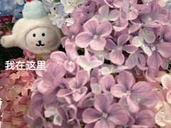 -PAUL LAFAYET 法式甜品(港汇广场店)