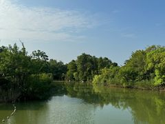 -上海吴淞炮台湾国家湿地公园