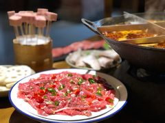 -白乐天毛肚火锅馆(解放碑店)