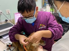-A猫a狗全科·犬猫异宠·芥西宠物医院(南开总院)