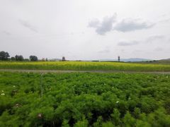 -塞罕坝国家级自然保护区