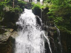 -大鄣山卧龙谷景区