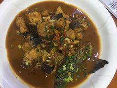 -全乐鱼馆·淳牌有机鱼直营店