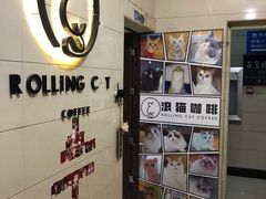 -滚猫咖啡·猫咖·猫友好撸猫(未来城店)