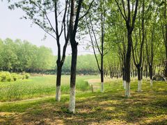 -东郊湿地公园