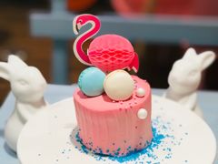 火烈鸟-随心小姐