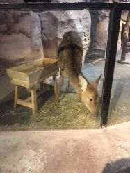 -酷嗒动物文化乐园(cutezoo西溪乐天城店)