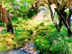 -Chom Cafe and Restaurant