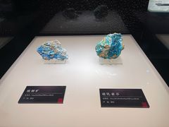 -武汉园博园(武汉自然博物馆)