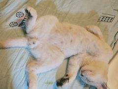 -百信宠物医院(东升街店)