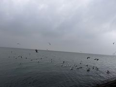 -那香海钻石沙滩浴场