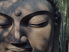 -杭州植物园
