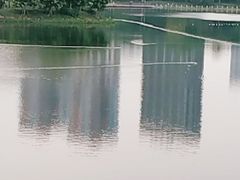 -南宁南湖公园