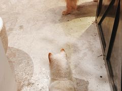 -自由生长植物工作室(深港花卉中心店)