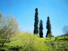 -新疆那拉提国家旅游度假区