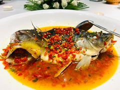 -印象鲵宴·张家界地标美食名片(溪布街店)