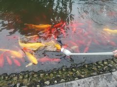 -成飞公园