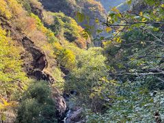 -云岫谷游猎自然风景区