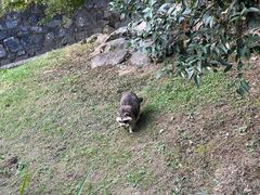 -扬州市茱萸湾风景区