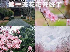 -堤角公园