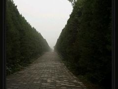 -秦始皇帝陵博物院-丽山园