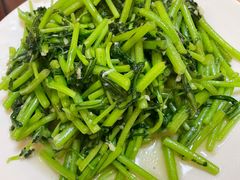 -林之六八·6886大连老菜馆
