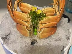 -荟廷·晶萃(静安寺店)