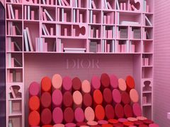 -Dior迪奥(上海世茂广场店)