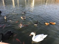 -南京汤山紫清湖生态旅游温泉度假区