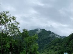 -牛背梁国家森林公园