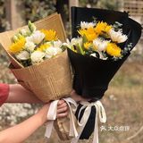 便不算离开，春草绿，清明来，清明节是踏青好时节