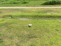 -良渚古城遗址公园