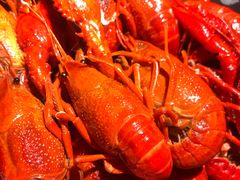 -沪小胖小龙虾(淮海中路旗舰店)