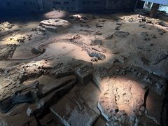 -自贡恐龙博物馆