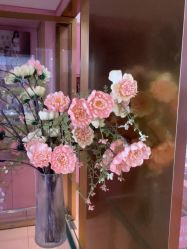 -莎蔓莉莎美容会所