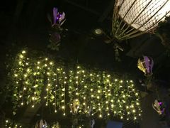 -TZ House音乐现场(茅台店)