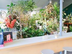 -Seesaw Coffee(深圳万象天地店)
