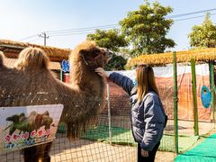 -莆田亚特湾水上乐园(原水上欢乐谷)