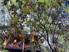 -巴倒烫陆派重庆火锅(南山店)
