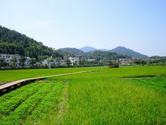 景点-红山村