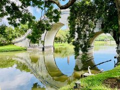 -顺峰山公园