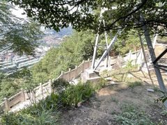-南山植物园